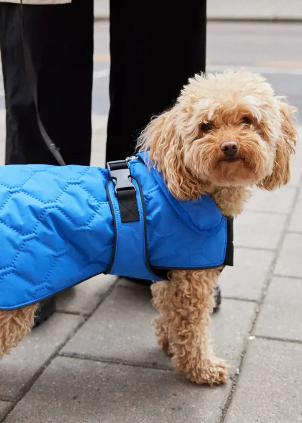 BRGN 'Dog Coat'>Women Coats & Jackets