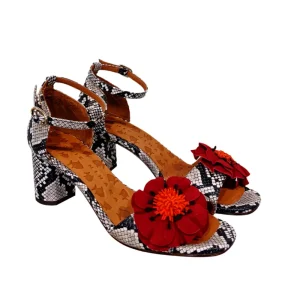 Chie Mihara 'Lonata'>Women Heels