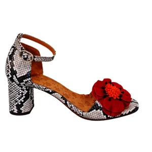 Chie Mihara 'Lonata'>Women Heels