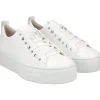 Paul Green 'Jae' Trainer>Women Trainers